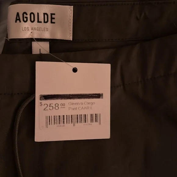 AGOLDE Ginerva Cargo Pant - Picture 4 of 4